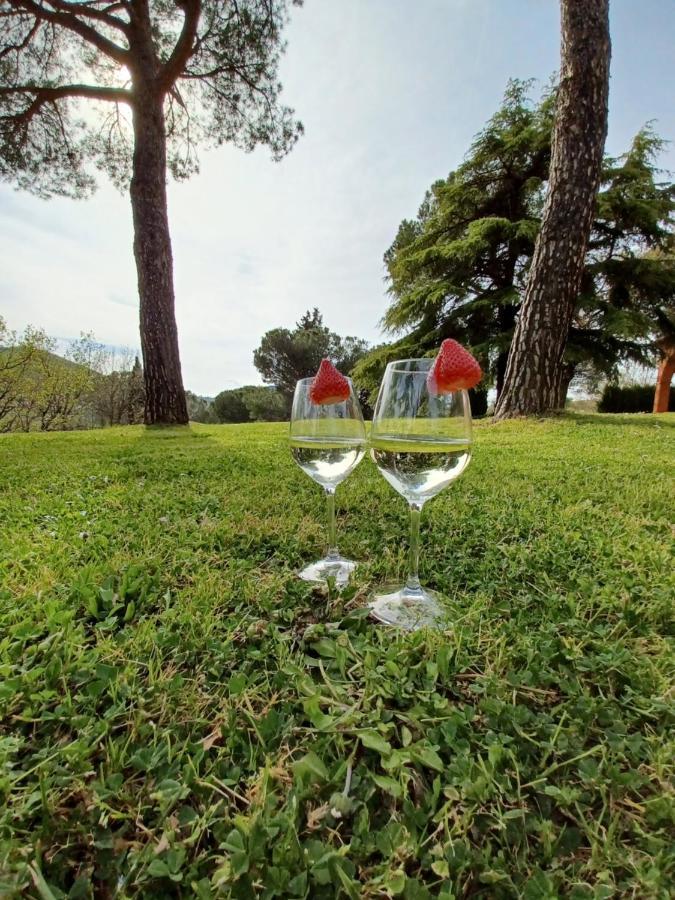 Villa Poggio Fagianino Sant'Albino Eksteriør billede